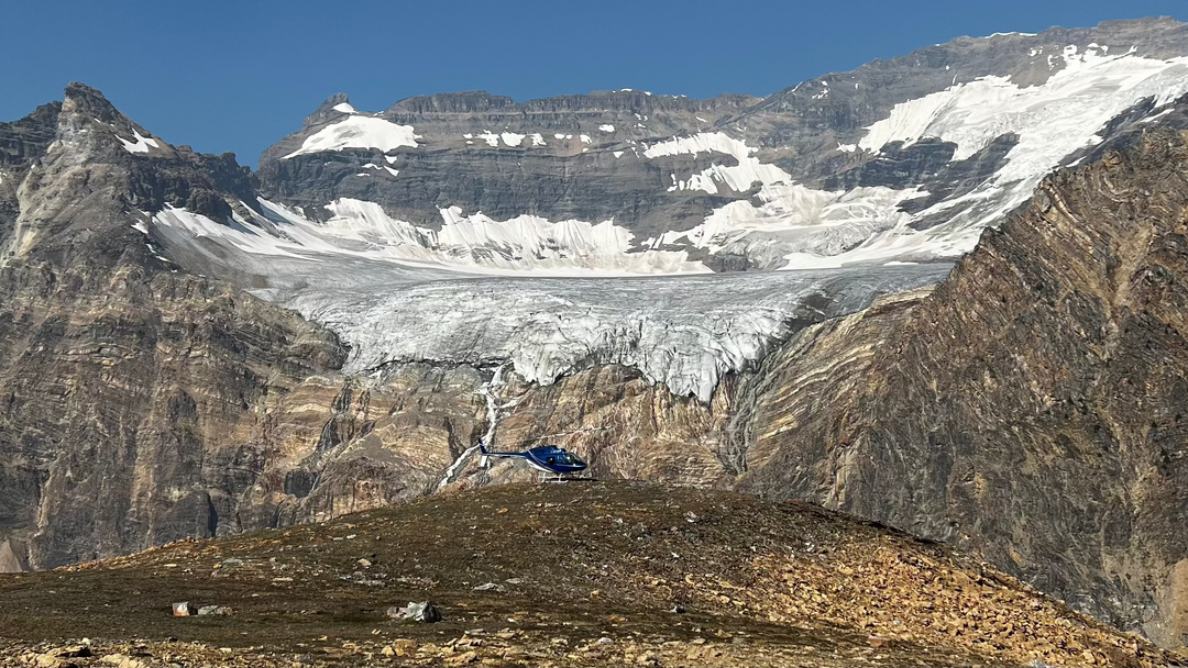 Delphine Glacier Tour - 30 Minutes