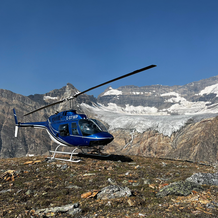 Delphine Glacier Tour - 30 Minutes